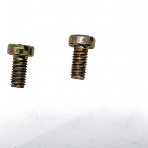 Slotted Cheese Head Screws