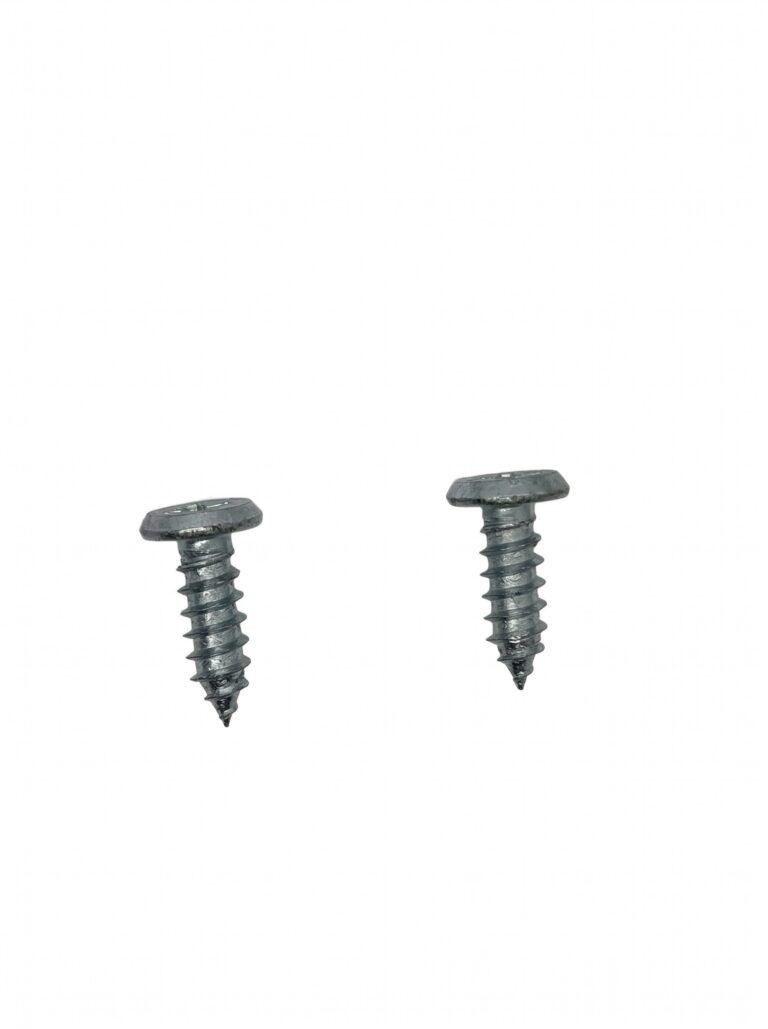 Pan Framing Screw
